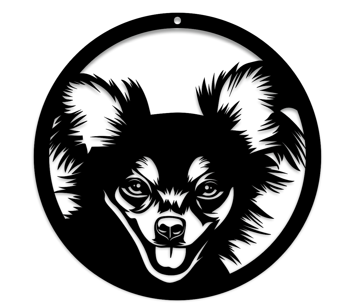 Chihuahua gługowłosa - obrazek 2