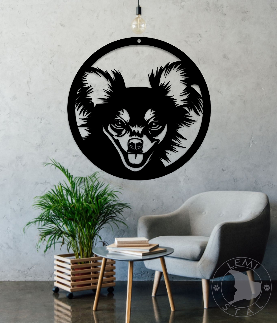 Chihuahua gługowłosa - obrazek