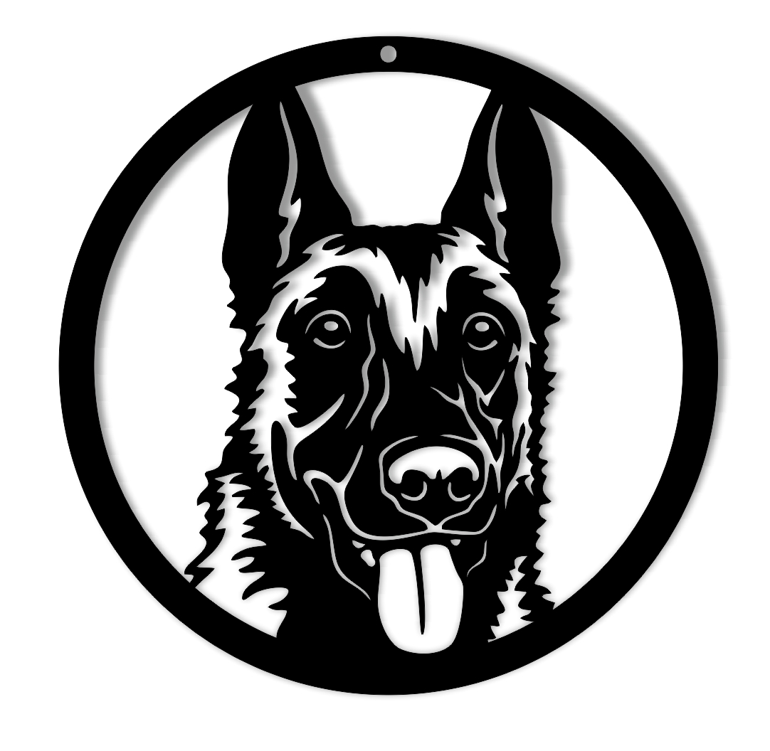 Malinois obraz metalowy owczarek belgijski 2
