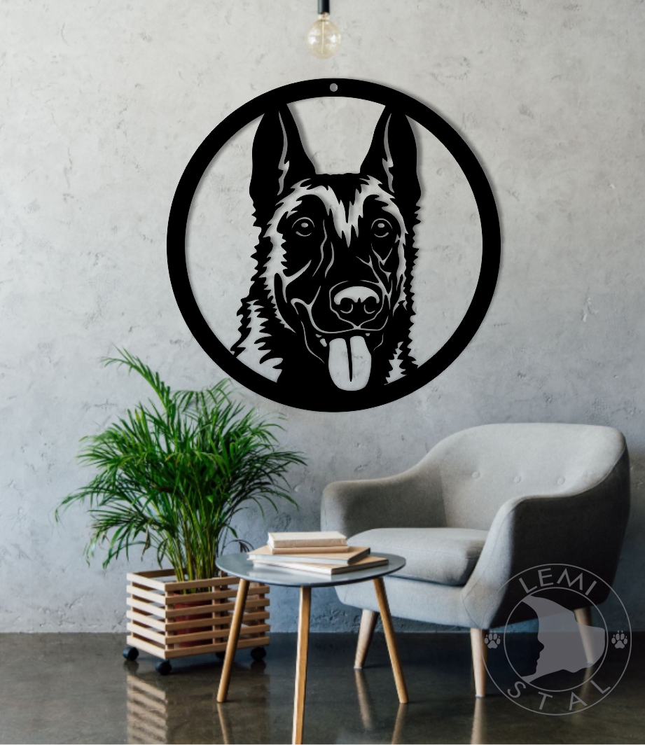 Malinois obraz metalowy owczarek belgijski