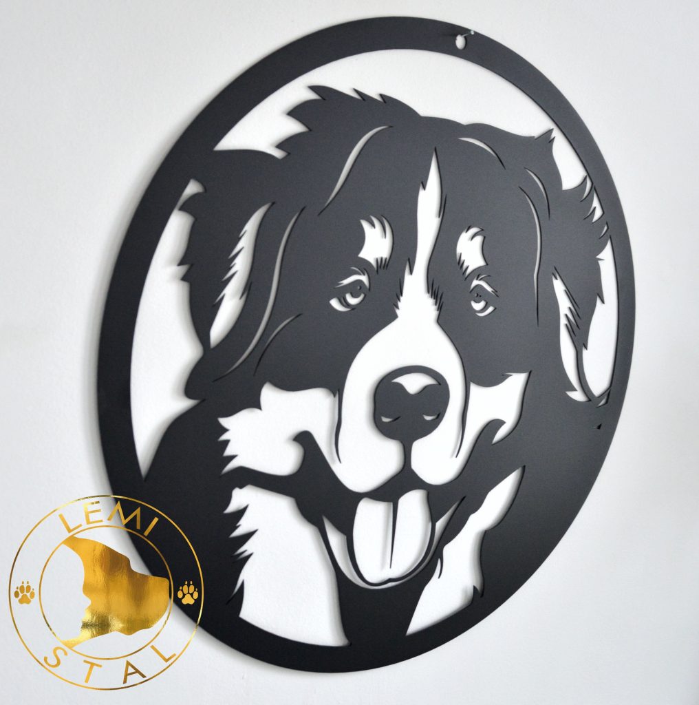 Berneński Pies Pasterski