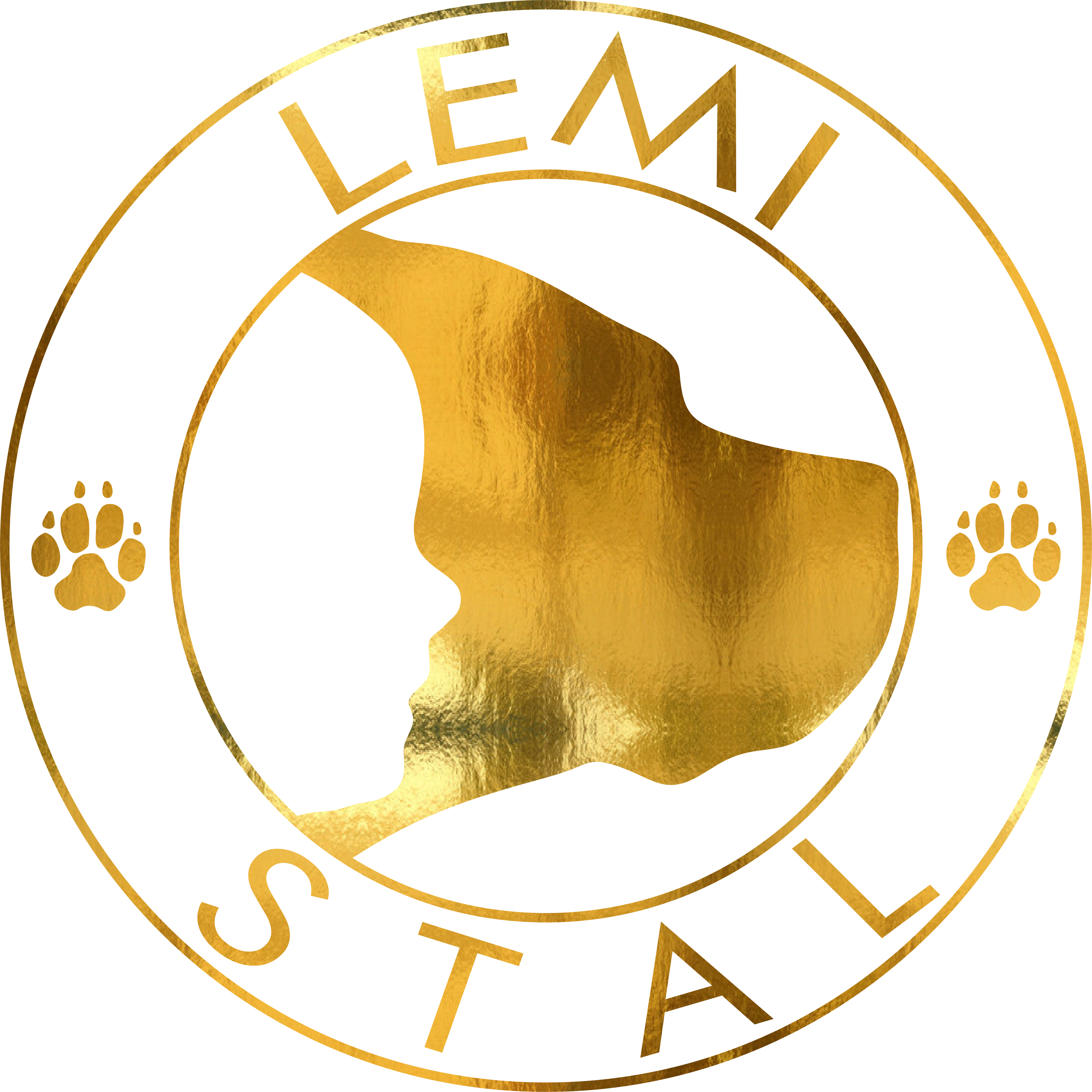 Lemi-Stal