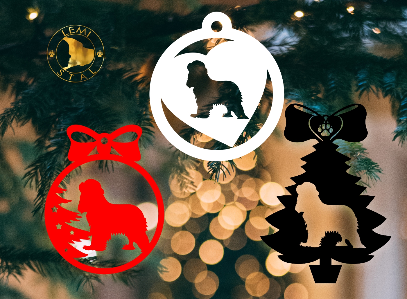 Cavalier king charles spaniel