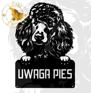 uwaga pudel