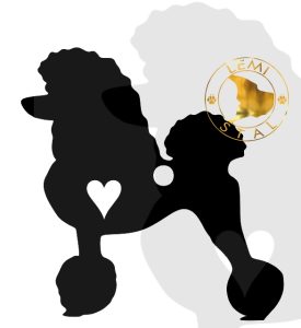 pudel miniaturowy brelok