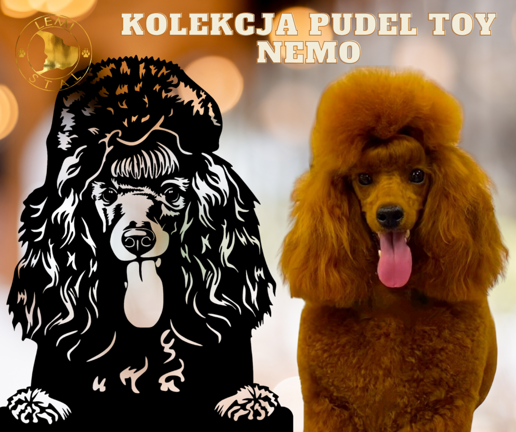 Pudel toy miski dla psa bufet z imieniem