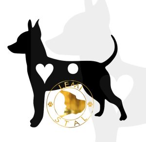 Pinczer miniaturowy ratlerek